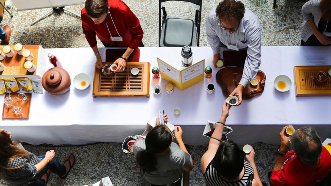 sf tea fest